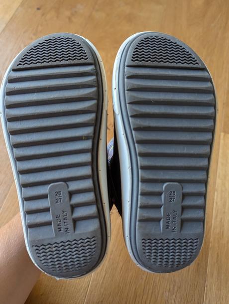 Snehulky coqui, coqui,26