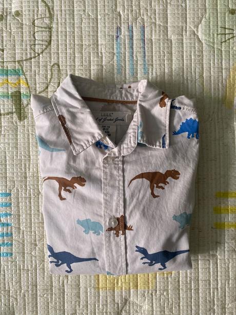 Kosela s dinosaurami, h&m,110
