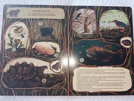 Kniha nezvyčajné priateľstvá,