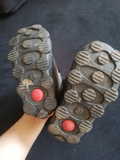 Elefanten cizmicky, elefanten,24