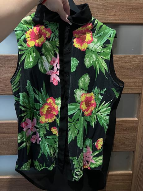 Košela, terranova,s