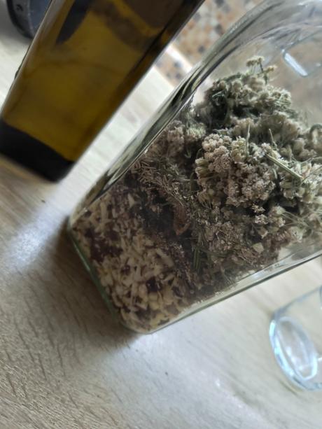 Pagaštan-žily,cievy,