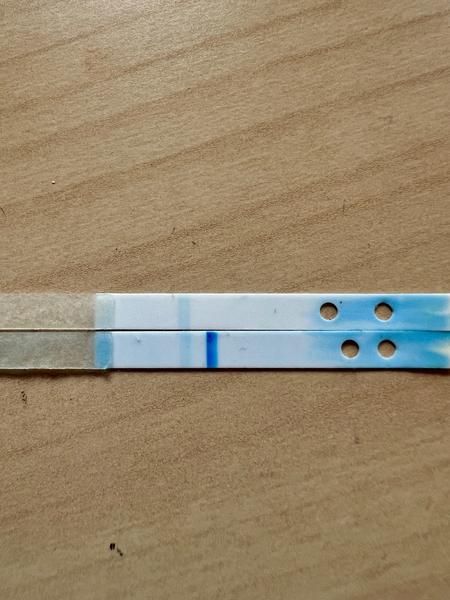 Je negatívny výsledok Clearblue testu spoľahlivý?