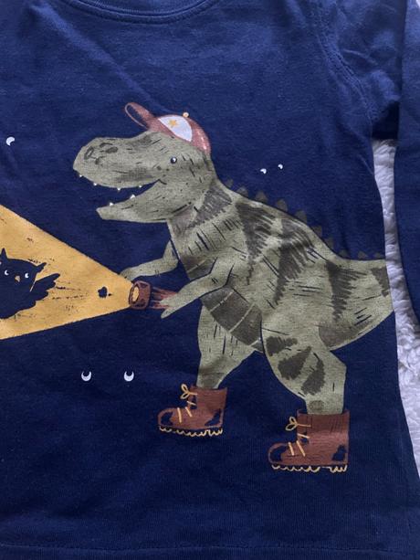 Suprava tricka a teplakov dino, carter's,80