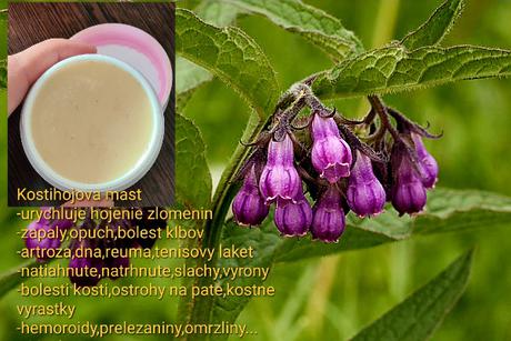 Kostihojová mastička, 