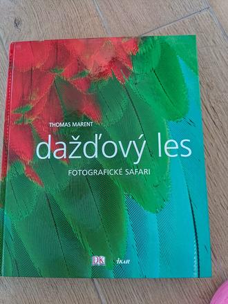 Dažďový les fotografické safari,