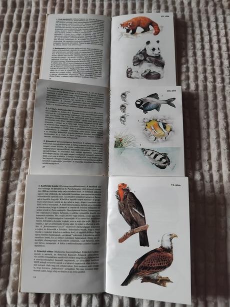 Különös állatok, 