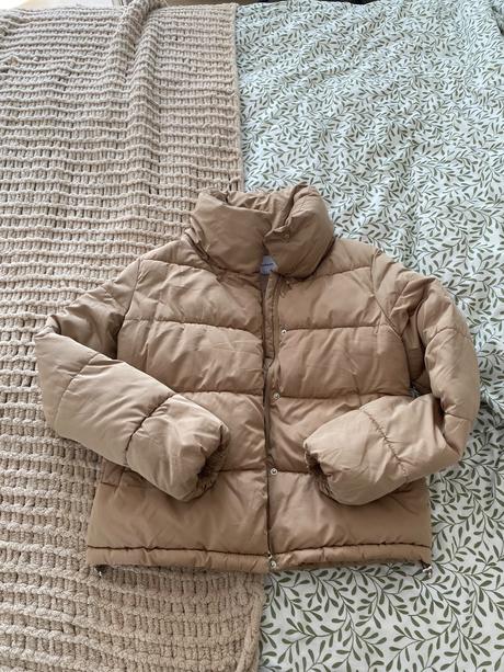 Bundicka stradivarius, stradivarius,s