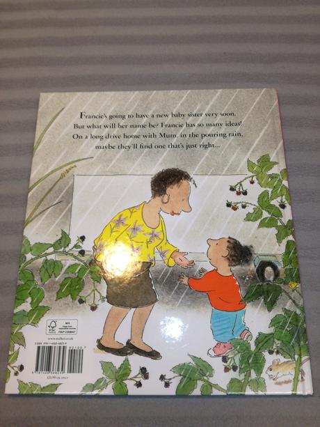 Bob graham - home in the rain hb nsp23,