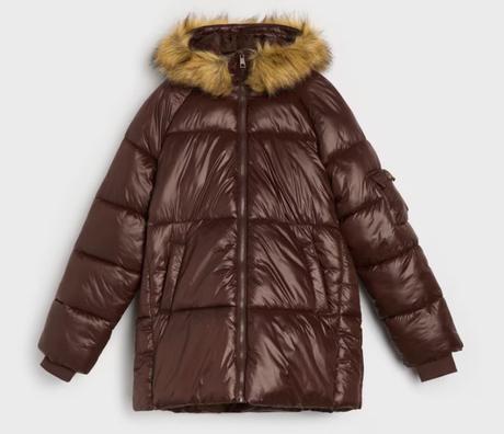 Hnedá bunda, sinsay,l