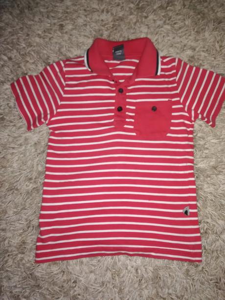 Tričko, coccodrillo,116