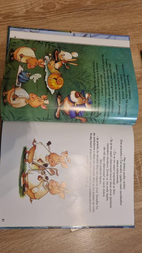 Nemocnica pre zvieratka, 