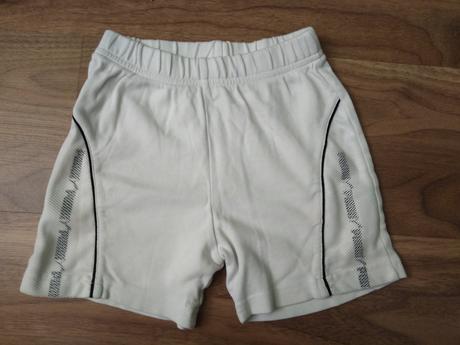 Puma kratase, puma,110