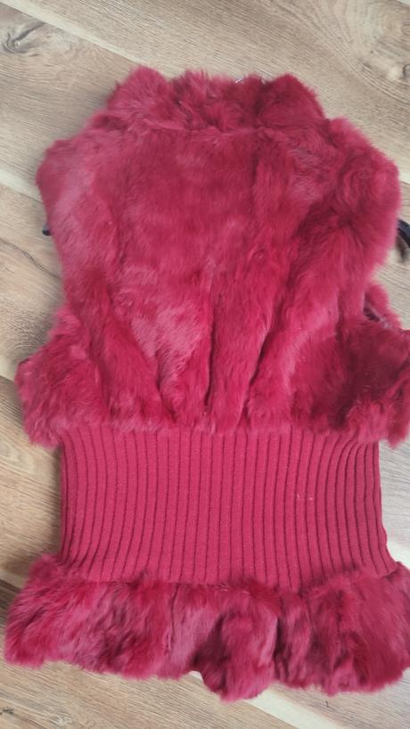 Kožušinova vesta, s