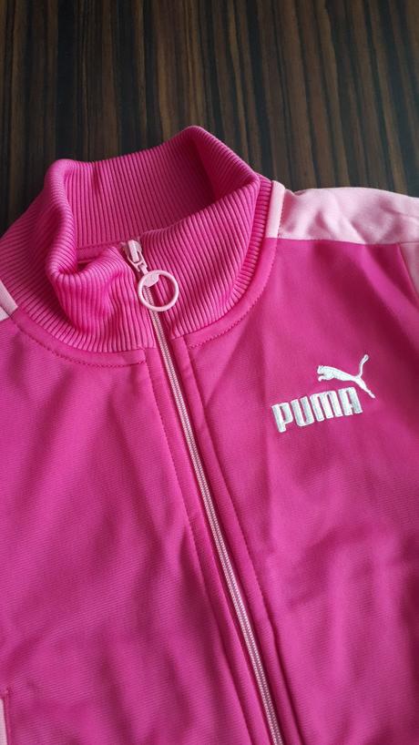 Top stav, s doporucenym postovnym, puma,92