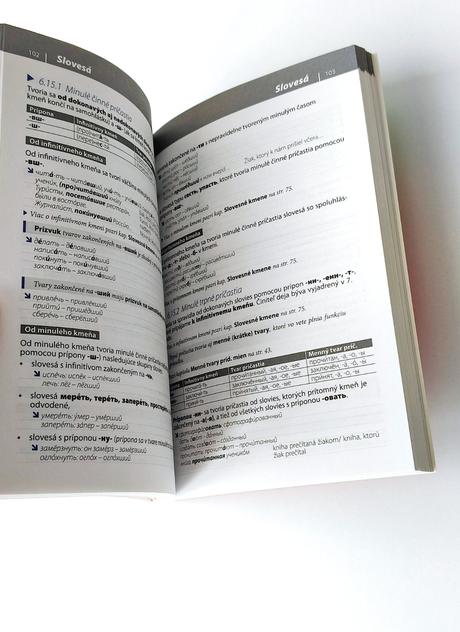 Gramatika súčasnej ruštiny lingea,