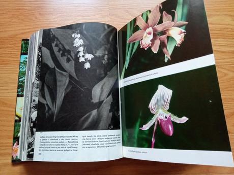 F. a. novák - veľký obrazový atlas rastlín,