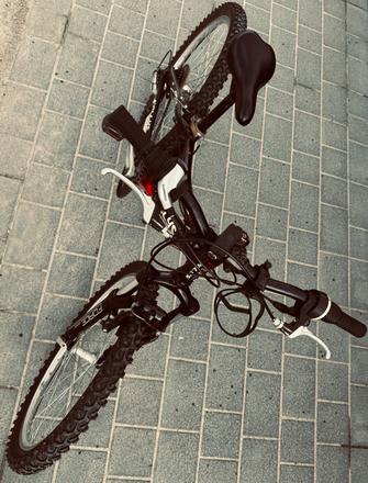 Kellys 24, kellys,24