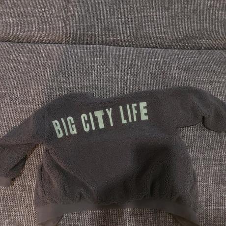 Teplá bunda, reserved,104