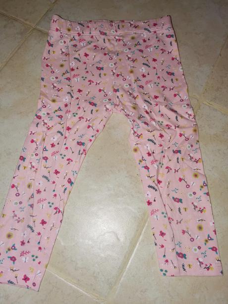 Leginy, in extenso,86