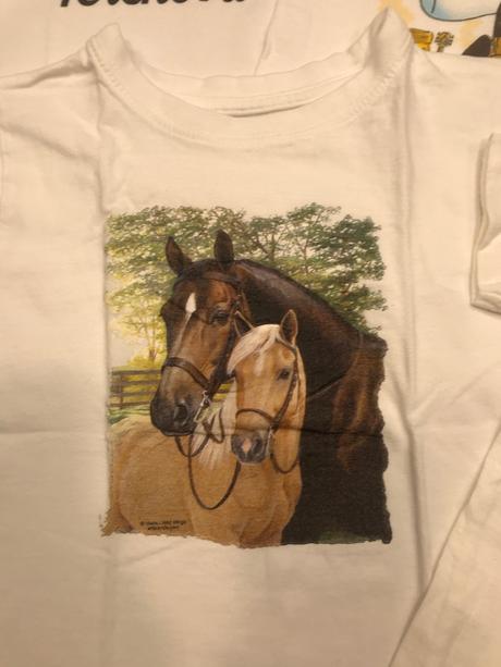 Trička slovensko, 110