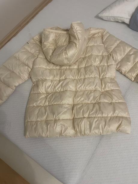 Champion bunda, champion,m