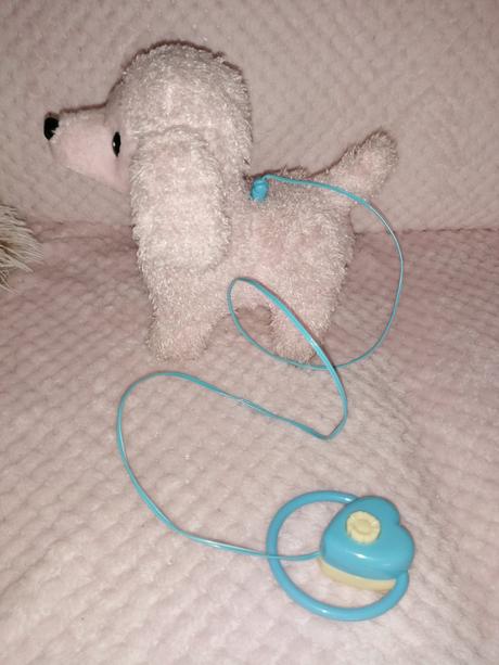 Chodiace šteniatko, 