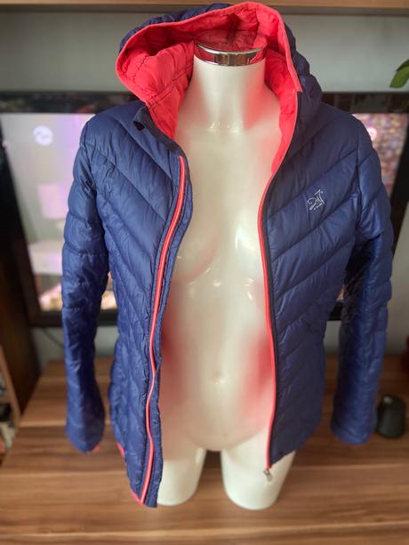 Lahucka bundicka modra, l