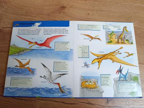 Dinosaury bystra hlavicka, 