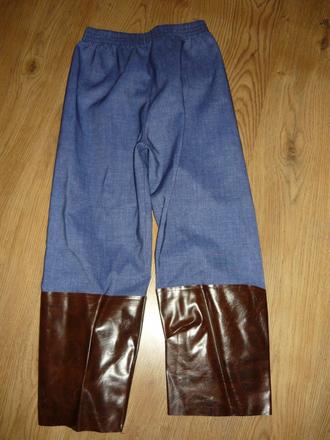 Karnevalový kostým ,