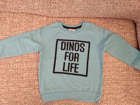 Predám chlapčenskú mikinu veľk. 110, pepco,110