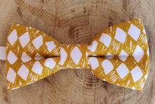 Chlapčenský motýlik, 