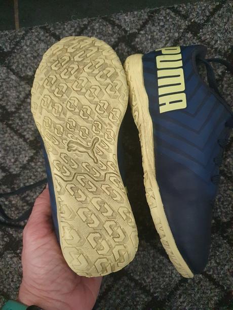Halovky, puma,29