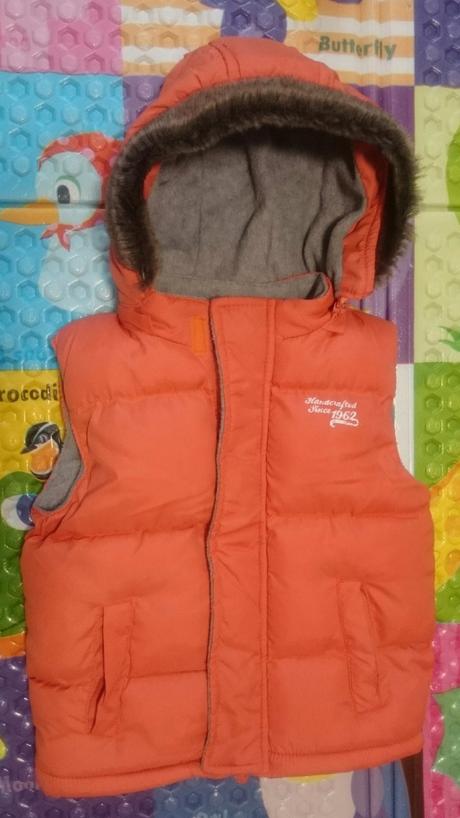 Vesta , st. bernard,98