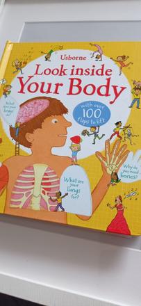 Usborne your body flap book,