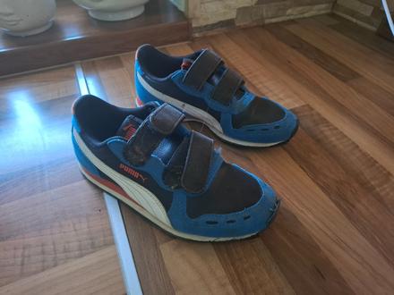 Botasky puma, puma,33