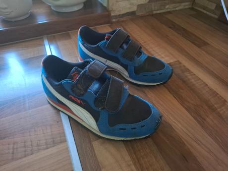 Botasky puma, puma,33