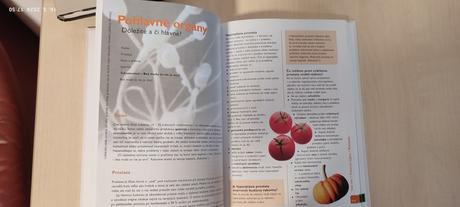 Navod na prežitie pre muza,