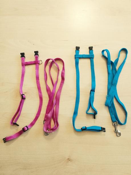 Popruh pre mačky, 2 ks, 