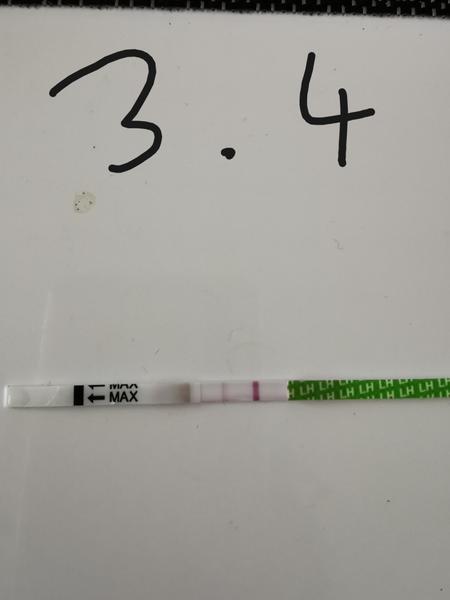 Bol tento ovulačný test pozitívny?