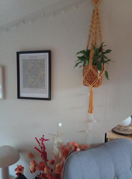 Staroružový závesný kvetináč, 