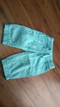 Kratase, palomino,104