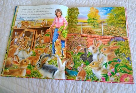 Farma a život na vidieku, 