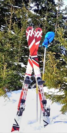 Skialp set lyze volkl /lyze viazanie brzdy pasy/, volkl,150-159 cm