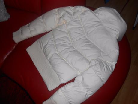 Bundička puma, puma,s