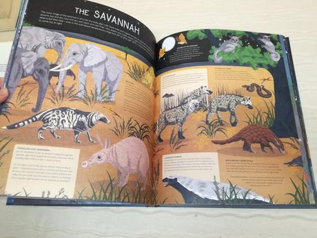 Nicola edwards when the stars come out nsp19,