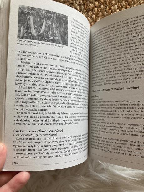 Pěstujeme si vlastní semínka petr dostálek (2011),