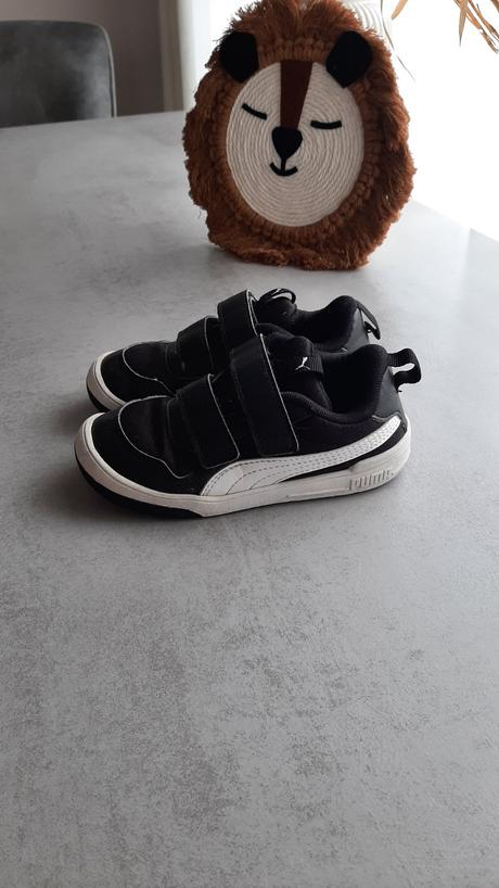 Botasky puma, puma,27