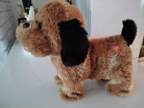 Psik šteká, trošku sa hýbe,