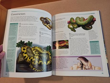 The great book of questions and answers hb,